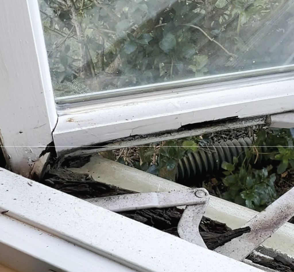 Before Rotted Window Repair