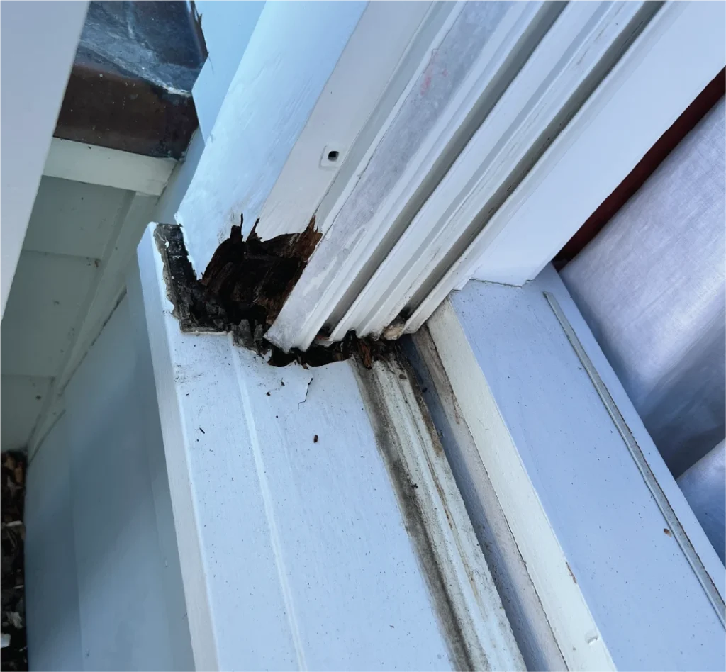 Before Wood Window Repair