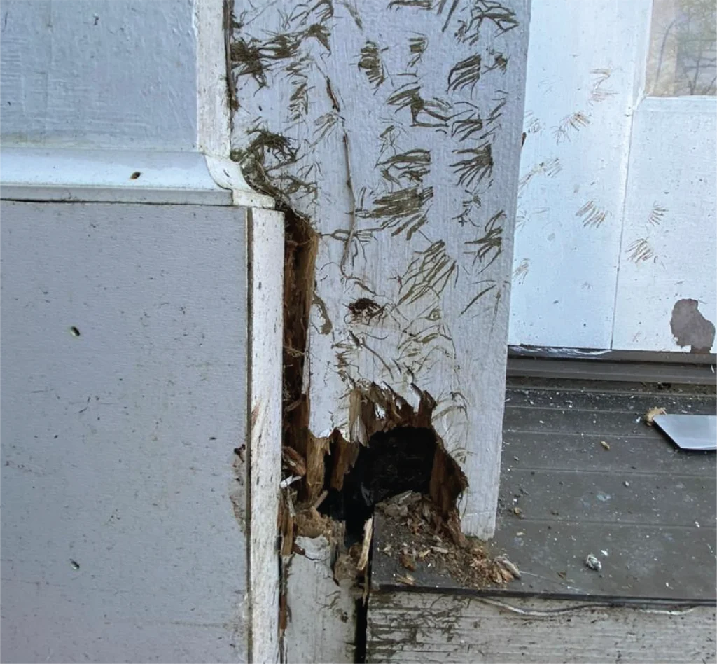 Rotten Window Repair