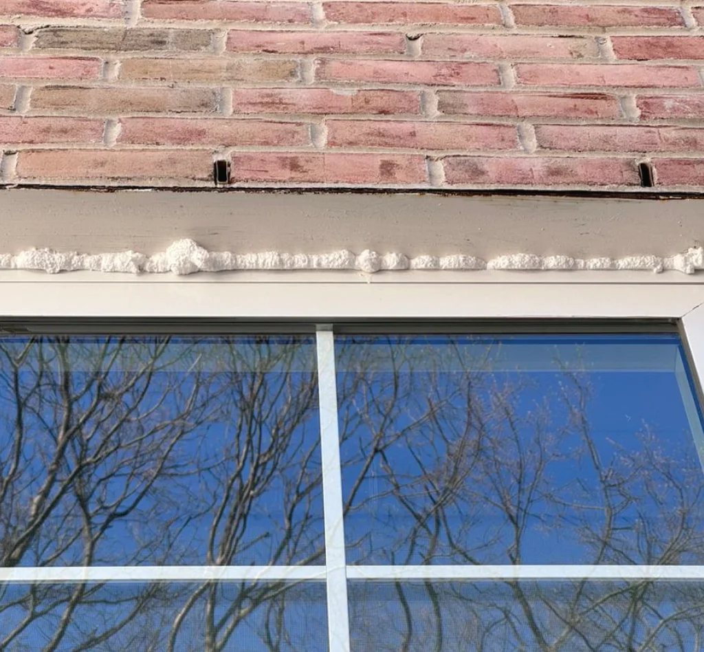Before Window Recaulking