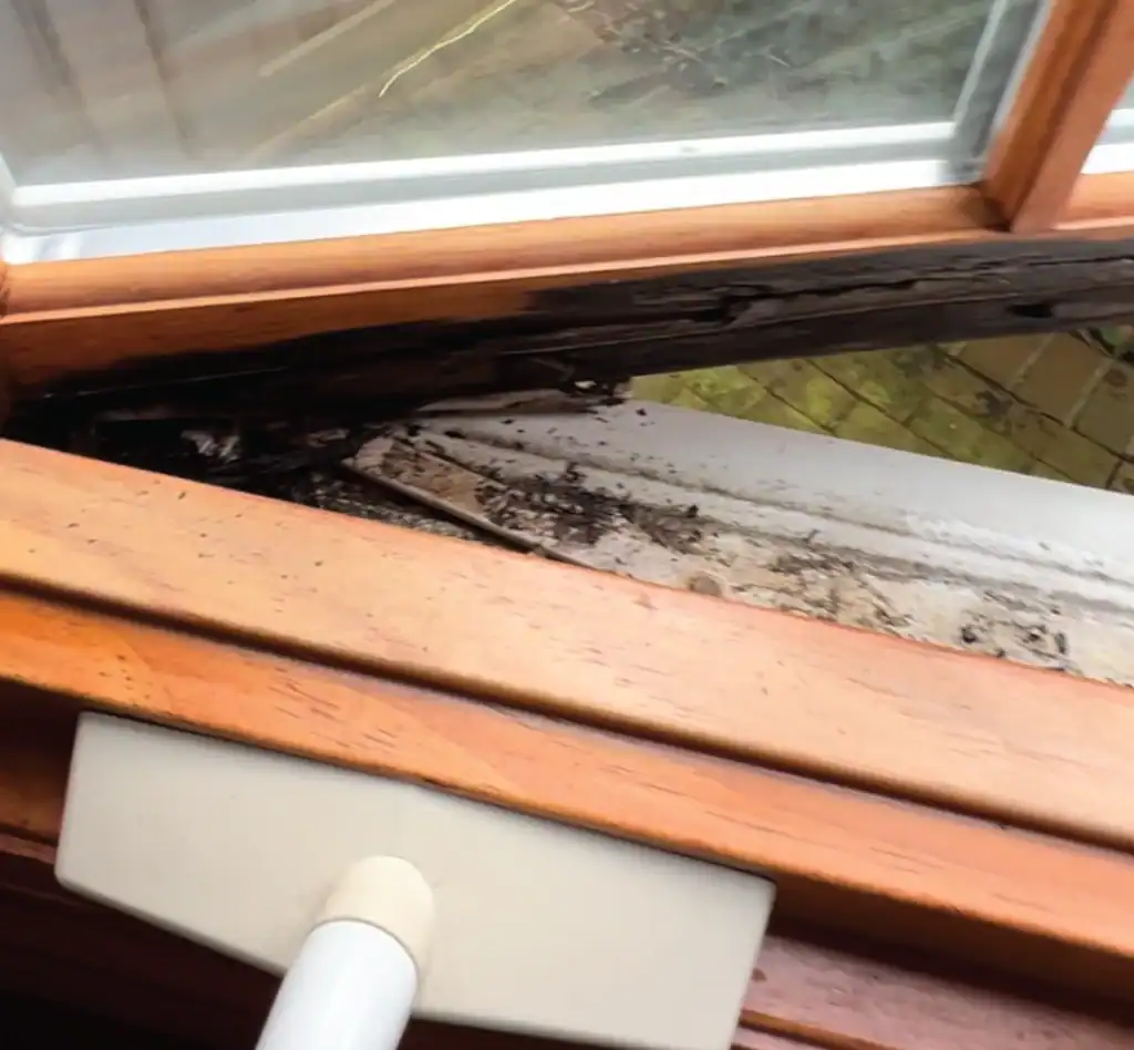 Before Wood Window Repair