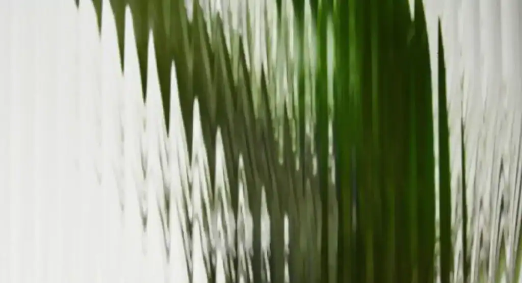 Reeded Glass