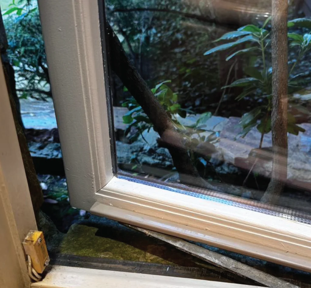 Wood Window Restoration