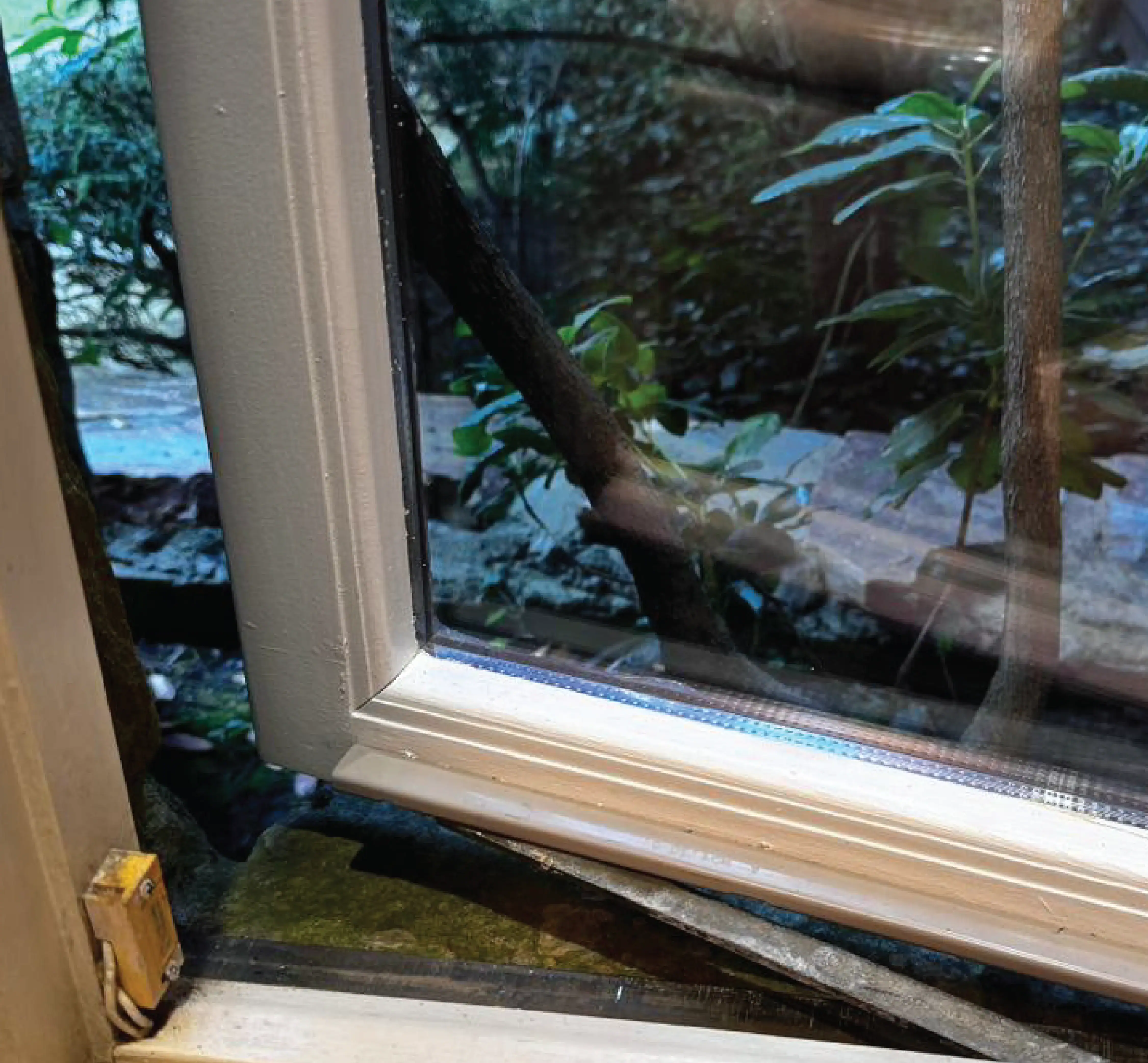 Wood Window Restoration