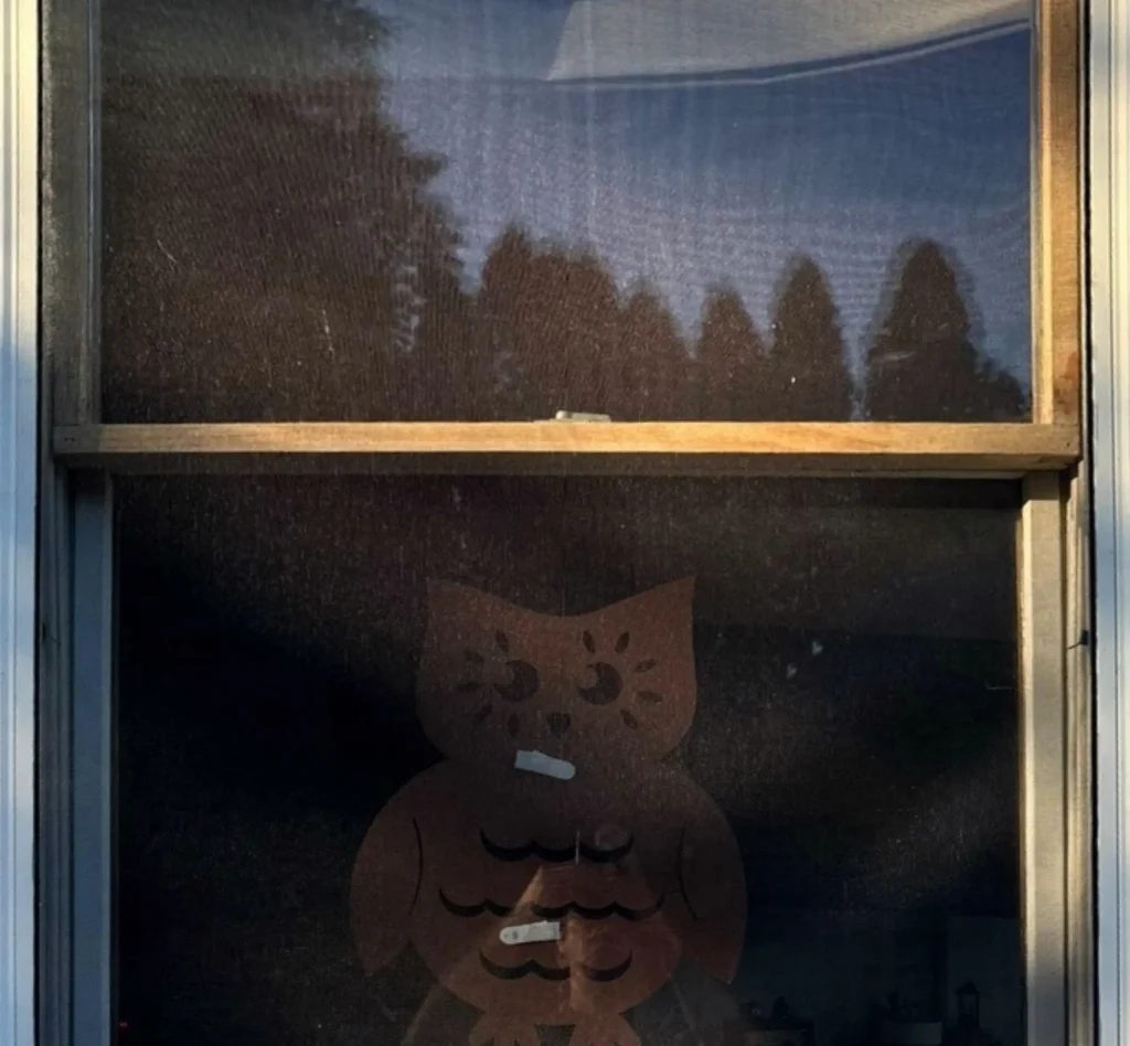 After Wood Window Restoration