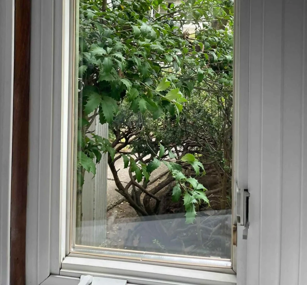 Window Glass Replacement