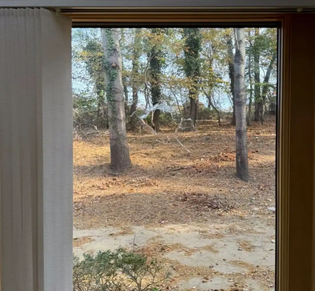 Before Window Glass Replacement