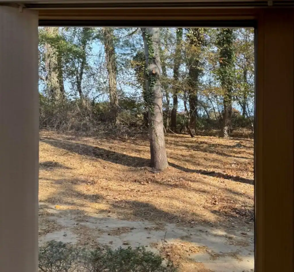 After Window Glass Replacement