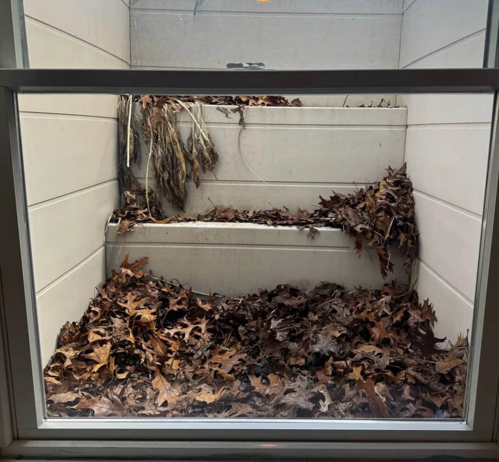 After Andersen Window Glass Replacement