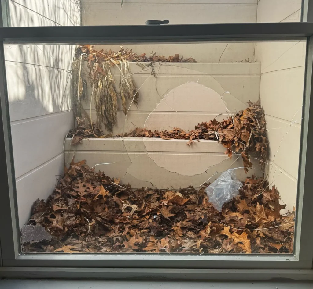 Before Andersen Window Glass Replacement