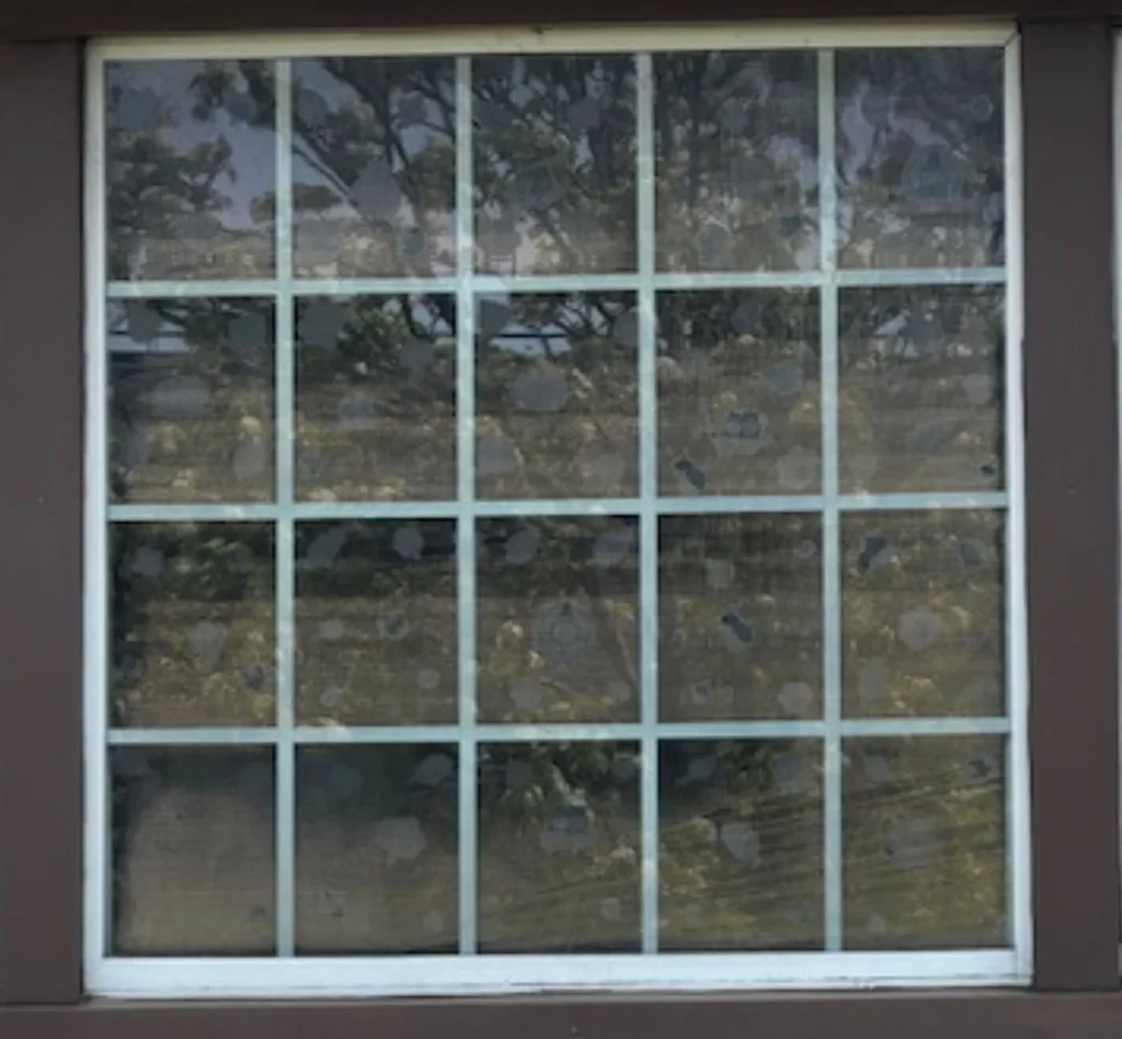 Before Colonial Style Window Glass Replacement