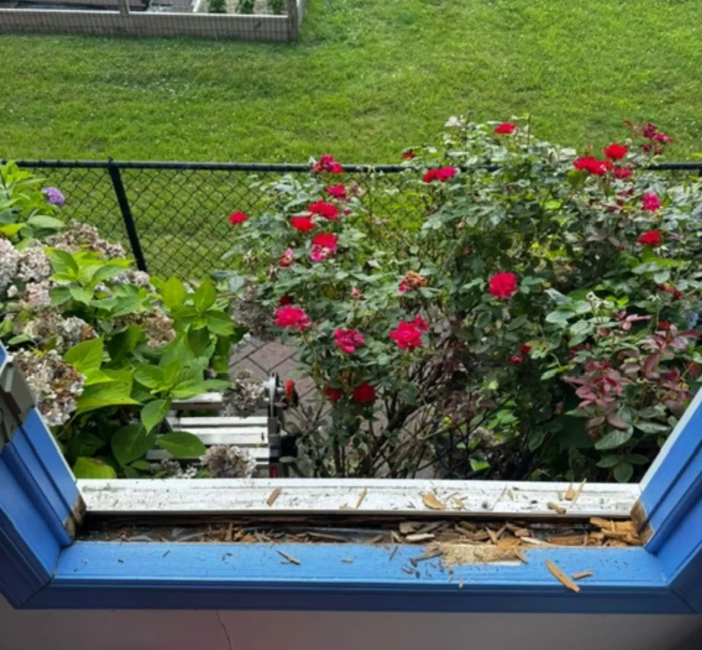 Before Wood Window Restoration in Water Mill, NY