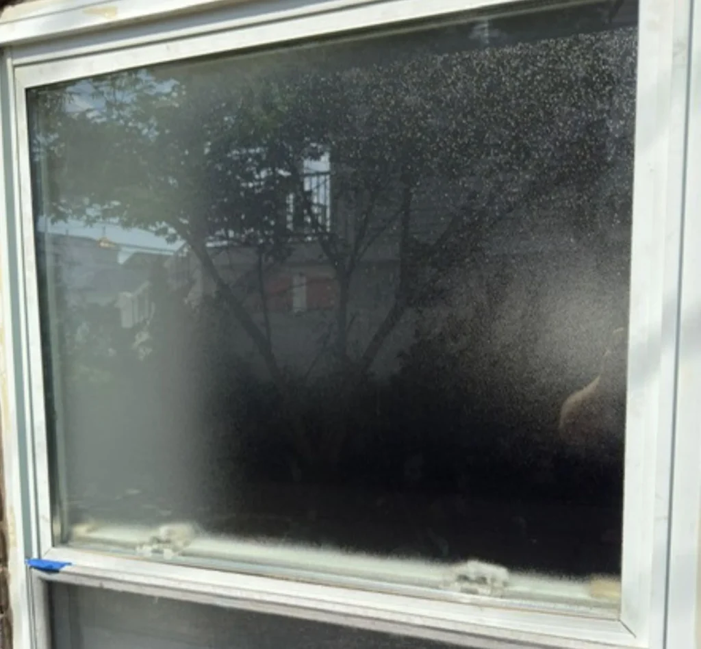 After Window Glass Replacement in Rocky Point, NY