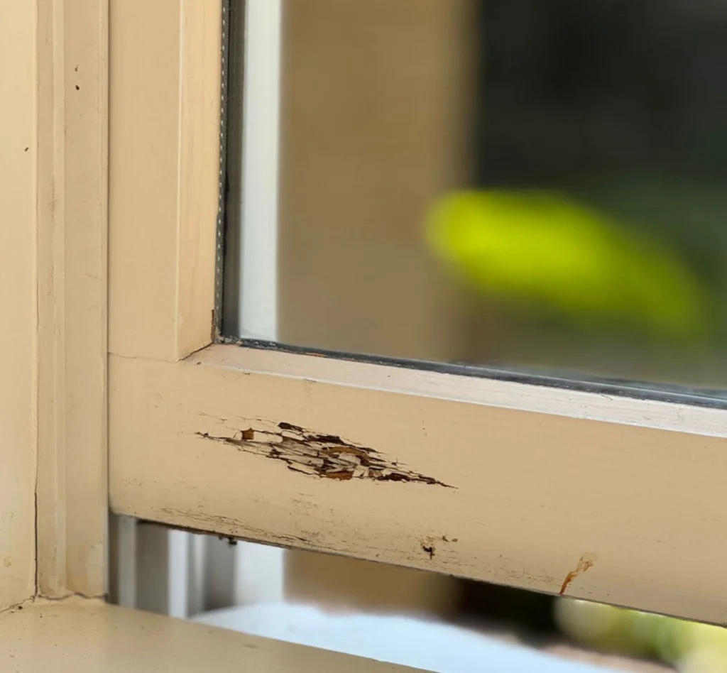 Before Wood Window Repair in Selden, NY