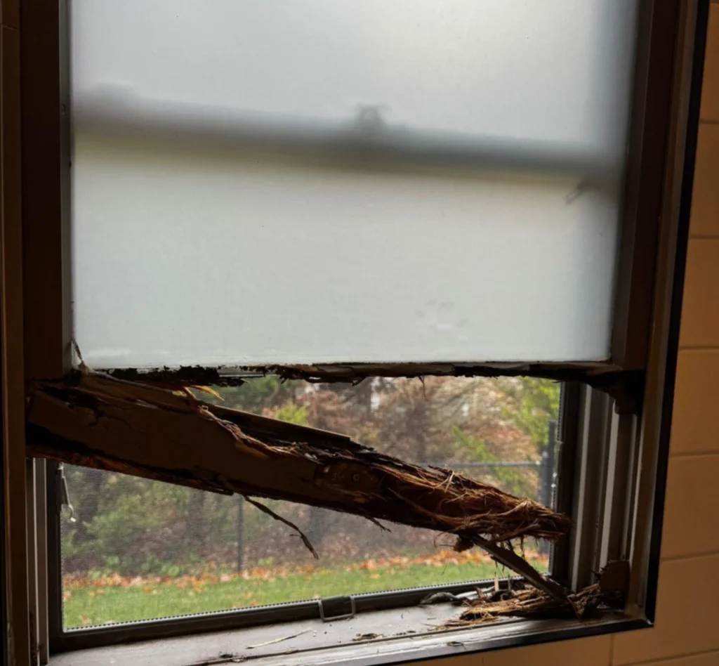 Before Andersen Wood Window Restoration in Atlantic Beach, NY